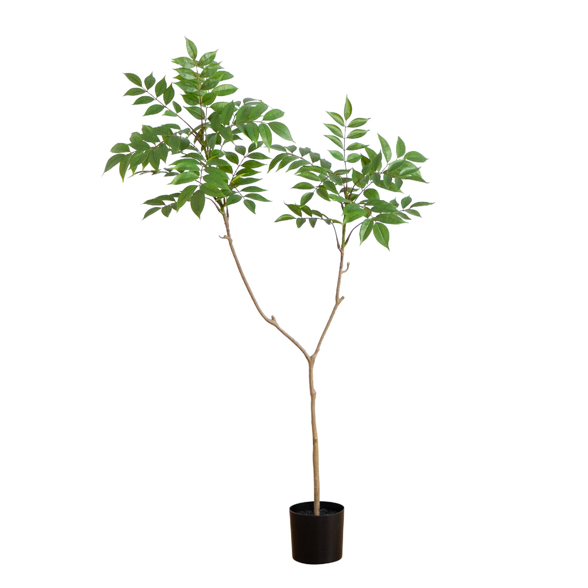 3.5ft. Potted Sumac Tree